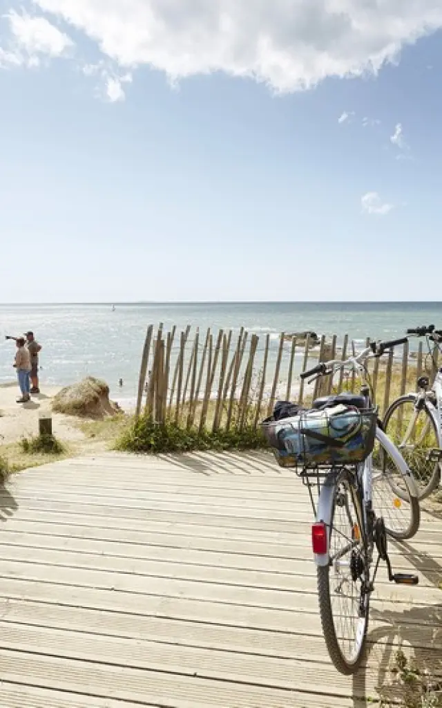 Vélos stationnés devant une plage