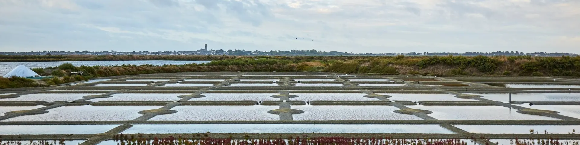 Nos engagements, Office de Tourisme - La Baule-Presqu'île de Guérande