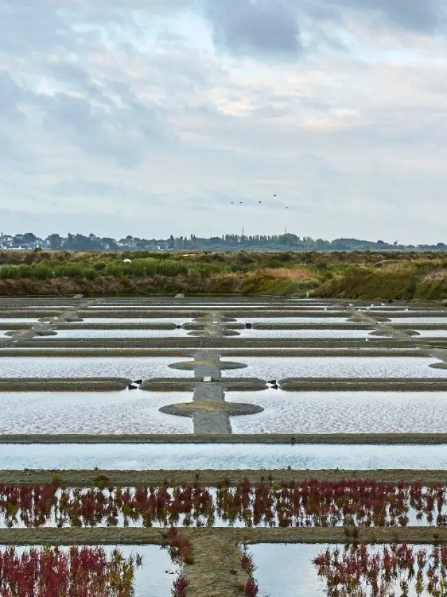 Nos engagements, Office de Tourisme - La Baule-Presqu'île de Guérande
