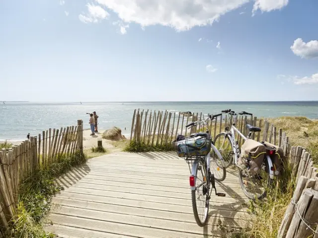 Vélos stationnés devant une plage