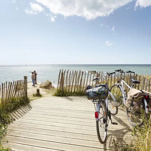 Vélos stationnés devant une plage