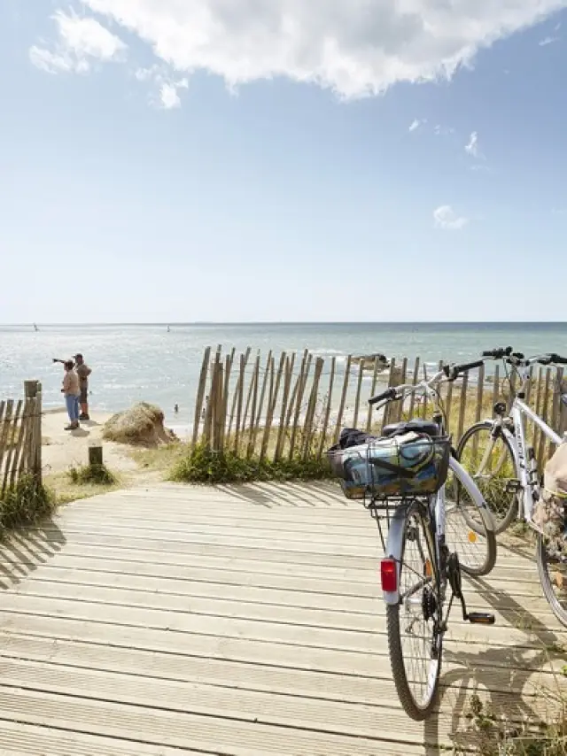 Bicycles parked in front of a beach