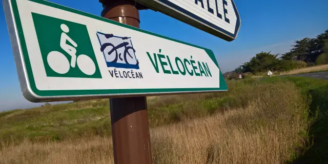 1920x1440 Wp 20190331 10 05 02 Pro 1594957