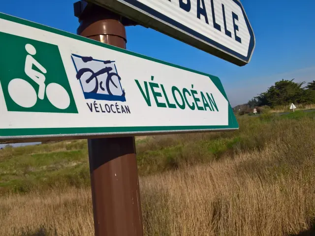 1920x1440 Wp 20190331 10 05 02 Pro 1594957