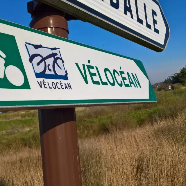 1920x1440 Wp 20190331 10 05 02 Pro 1594957