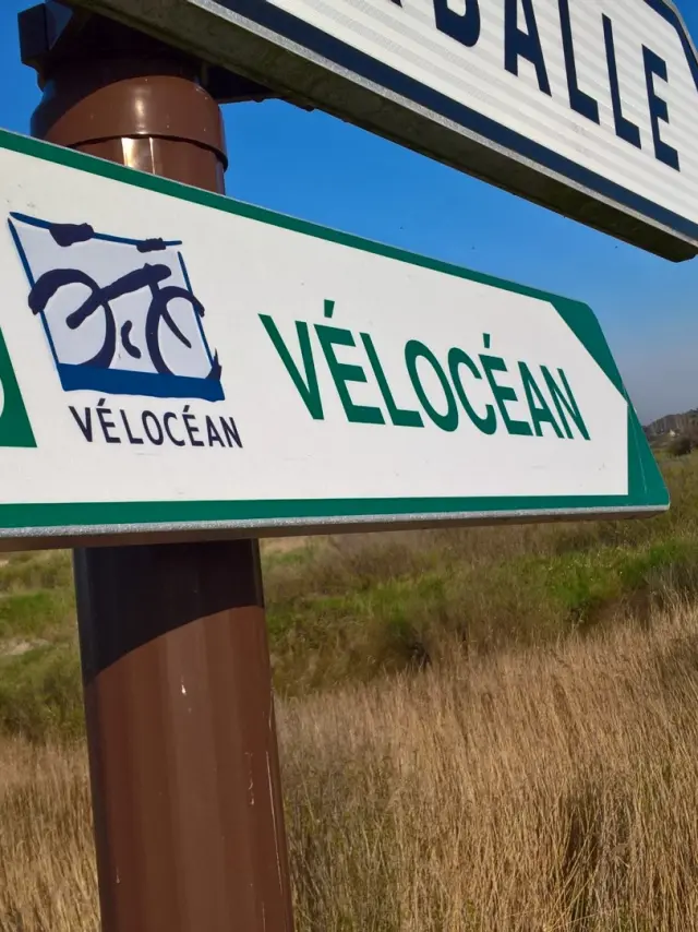 1920x1440 Wp 20190331 10 05 02 Pro 1594957