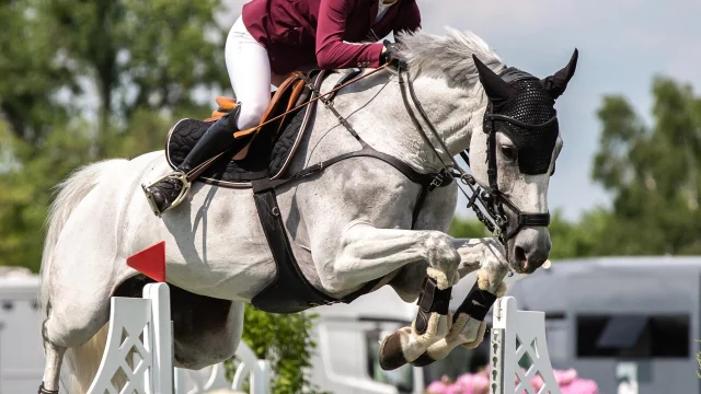 Jumping International - La Baule