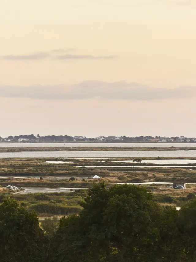 Vue panoramique sur les marais salants de Guérande