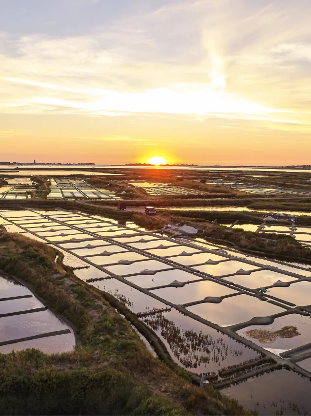 Bretagne Plein Sud - août 2018