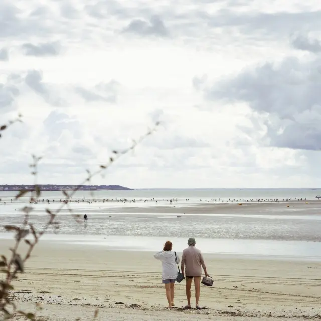 Photo d'une sortie pêche à pied à La Baule