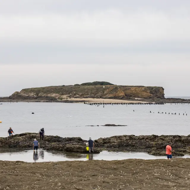 Photo de pêcheurs à pied à Pénestin