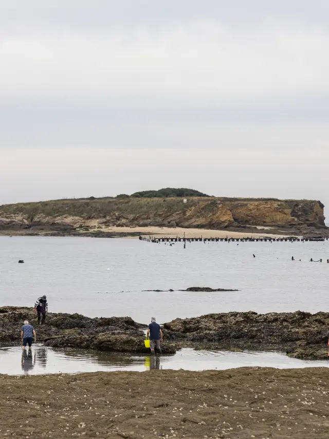 Photo de pêcheurs à pied à Pénestin