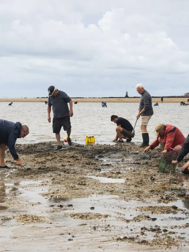 Pêche à pied à La Baule