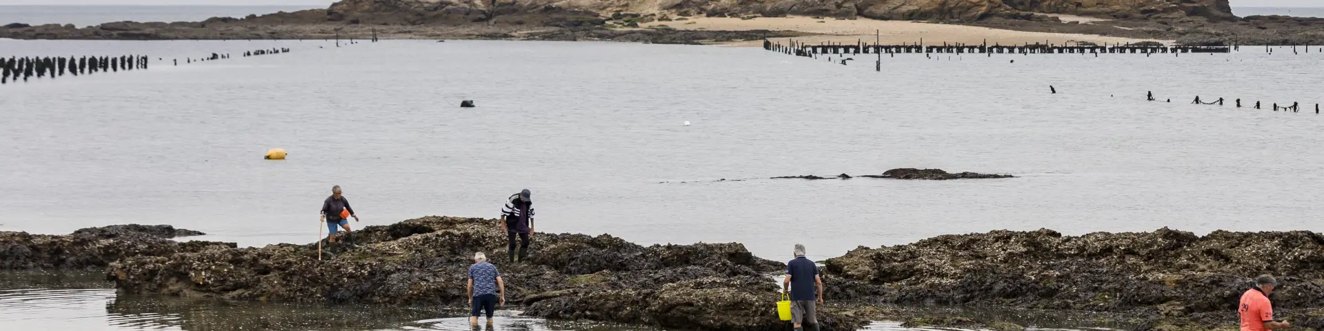 Photo de pêcheurs à pied à Pénestin