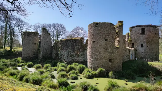 Château de Ranrouet - Herbignac