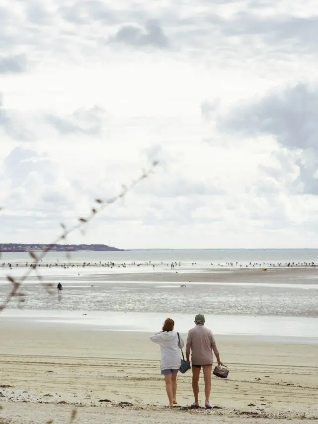 Photo d'une sortie pêche à pied à La Baule