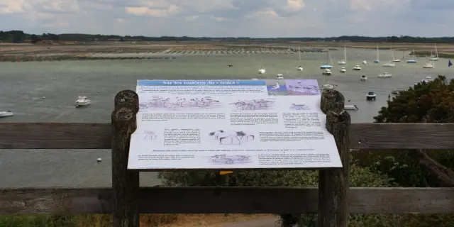 Mesquer - Vogelobservatorium