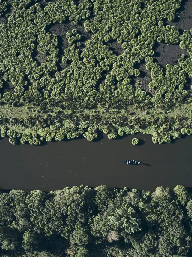 Chaland dans le Marais de la Grande Brière vue du ciel