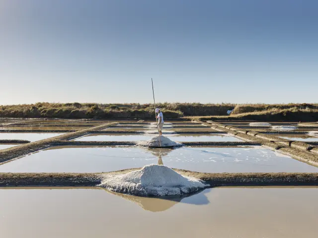 Photo d'une paludière dans les marais salants de Guérande