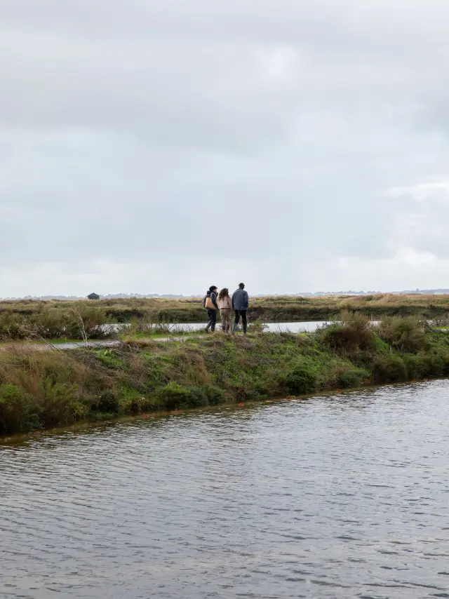 Guérande - Marais salants en hiver
