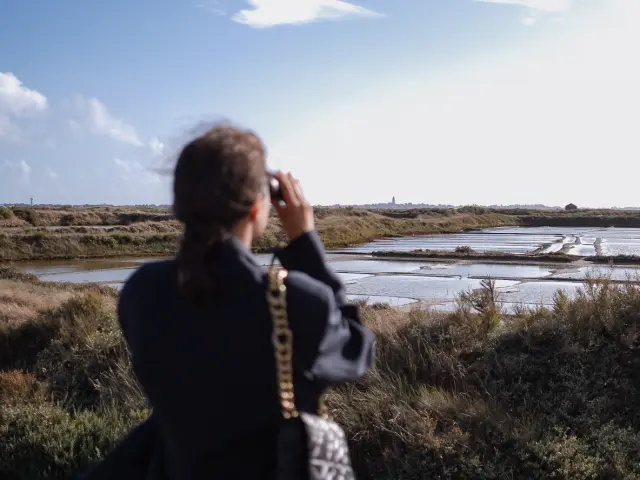 Guérande - Observer les oiseaux