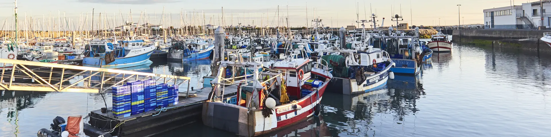 Vue sur le port de La Turballe