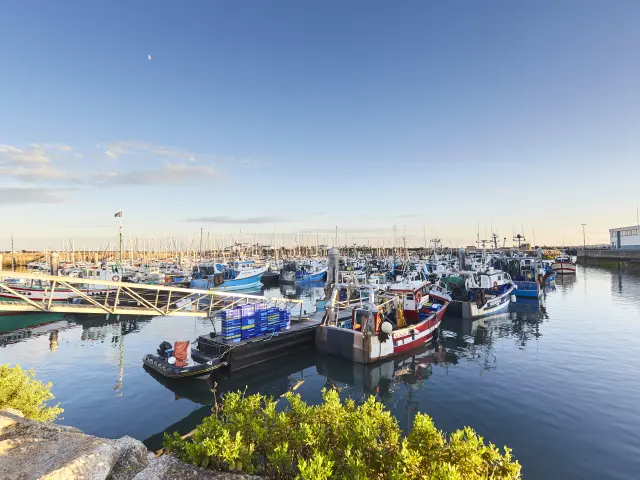 Vue sur le port de La Turballe