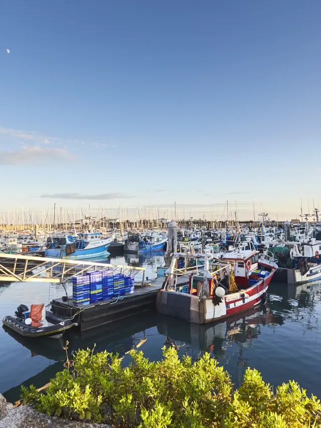 Vue sur le port de La Turballe