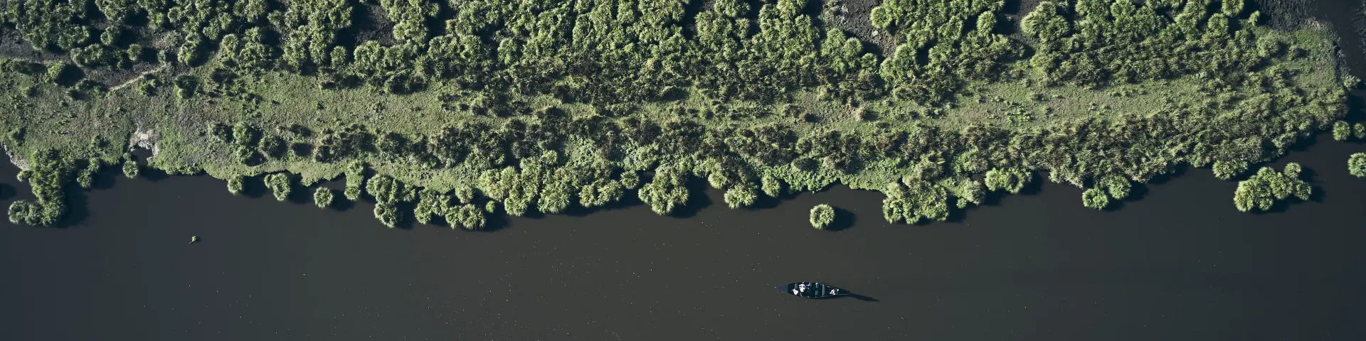 Photo du marais de brière
