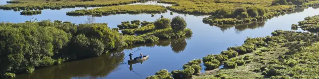 Photo du marais de Brière