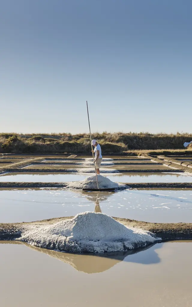 Photo d'une paludière dans les marais salants de Guérande