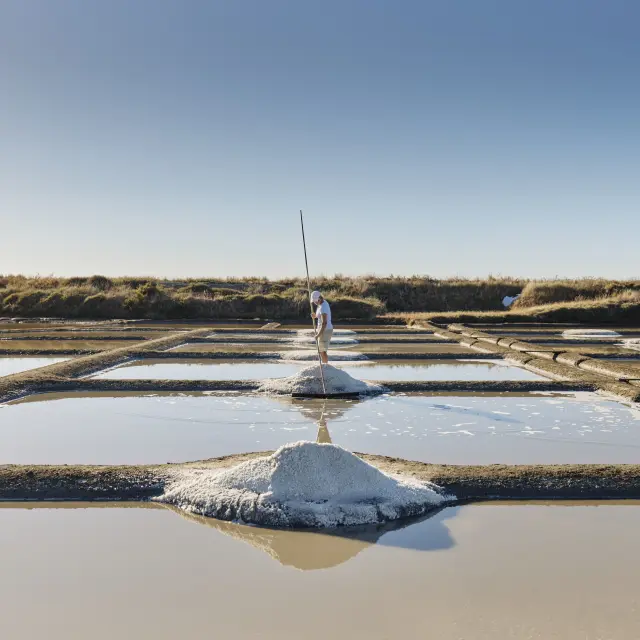 Photo d'une paludière dans les marais salants de Guérande