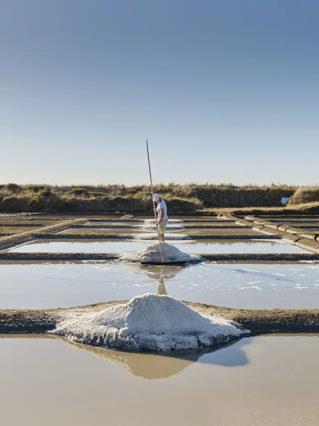 Photo d'une paludière dans les marais salants de Guérande