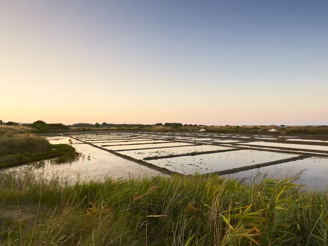 Marais salants de Guérande