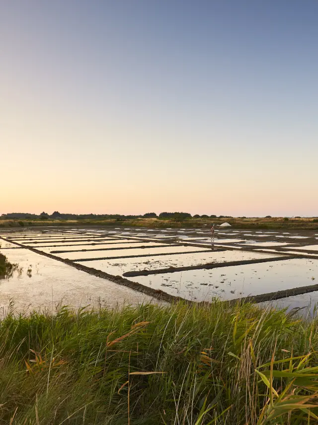 Salzsümpfe von Guérande