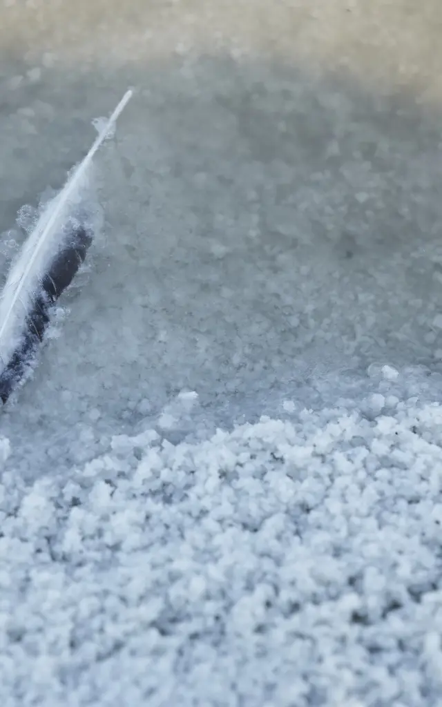 Guérande - Marais salants