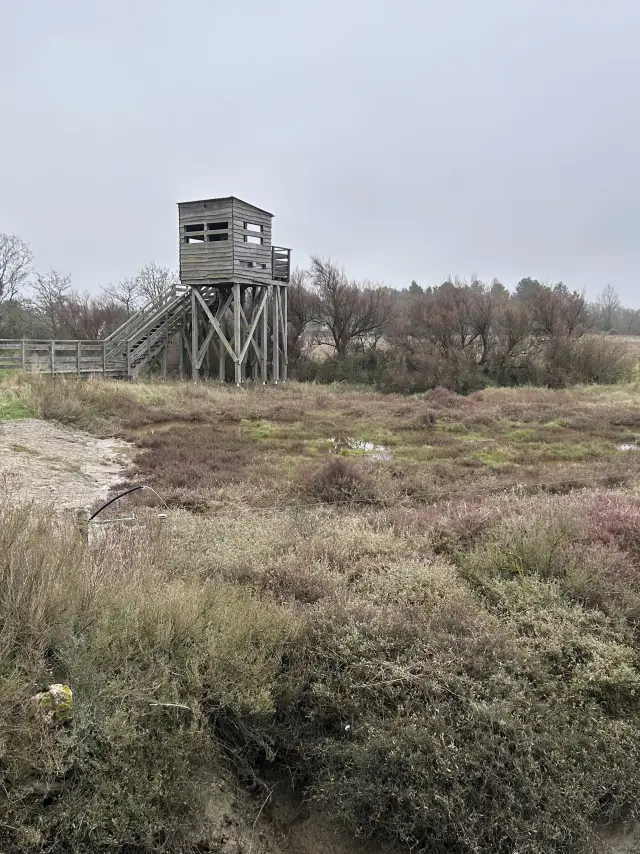 Mesquer - Observatoire du Rostu