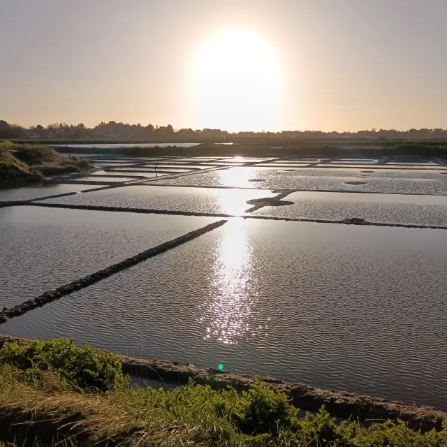 Mesquer - Marais salants du Mès