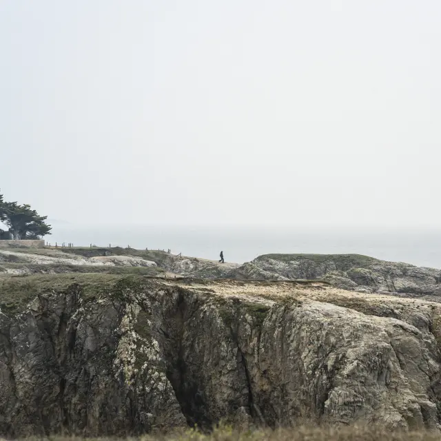 Le Pouliguen - Côte sauvage