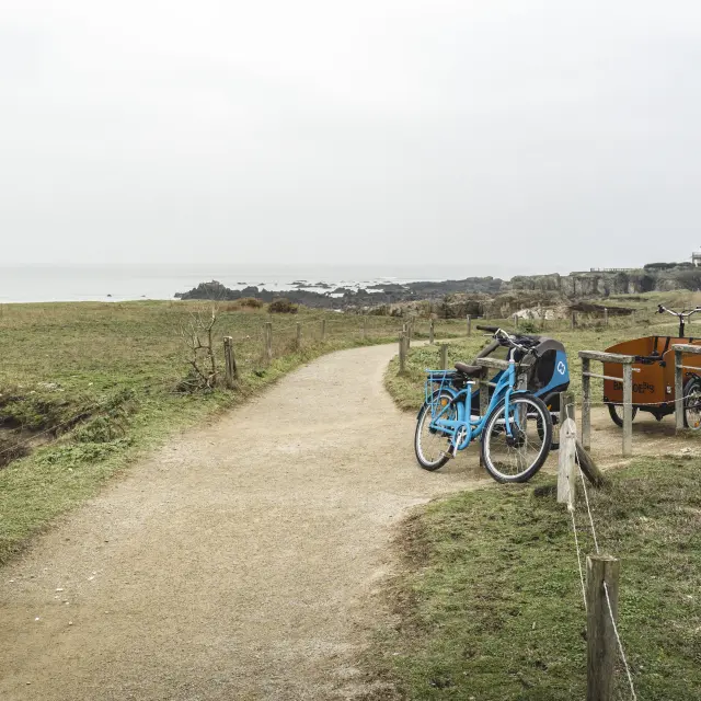 Jehanin Cotesauvage Velo 34