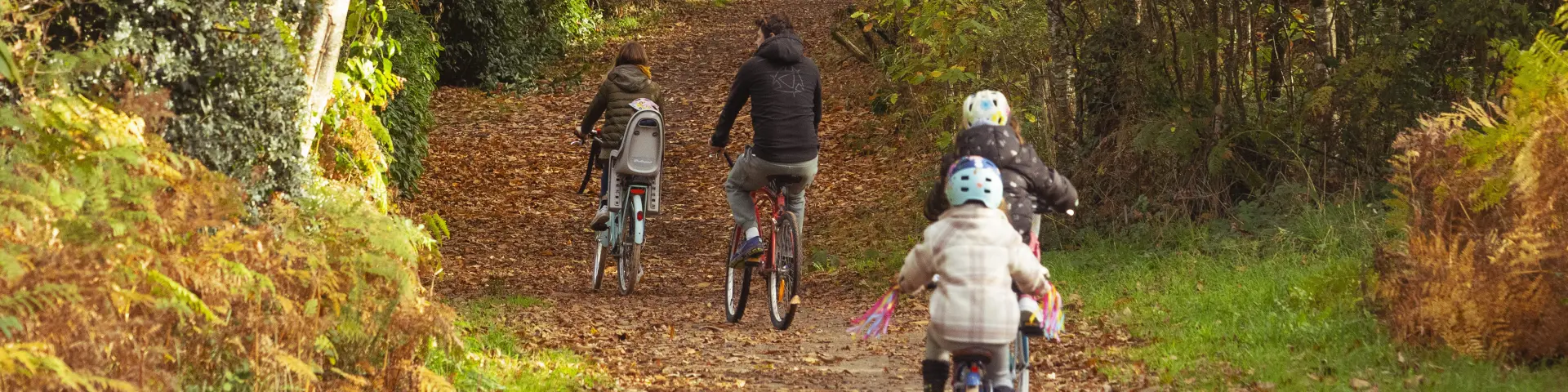 Sortie vélo vers Camoël et Férel en automne