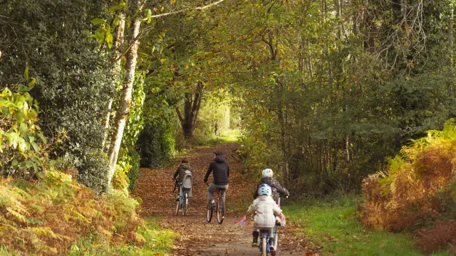 Sortie vélo vers Camoël et Férel en automne