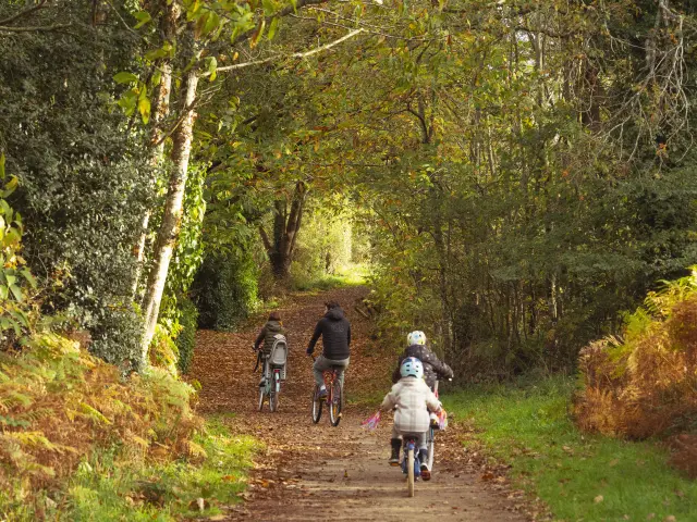 Fahrradtour nach Camoël und Férel im Herbst