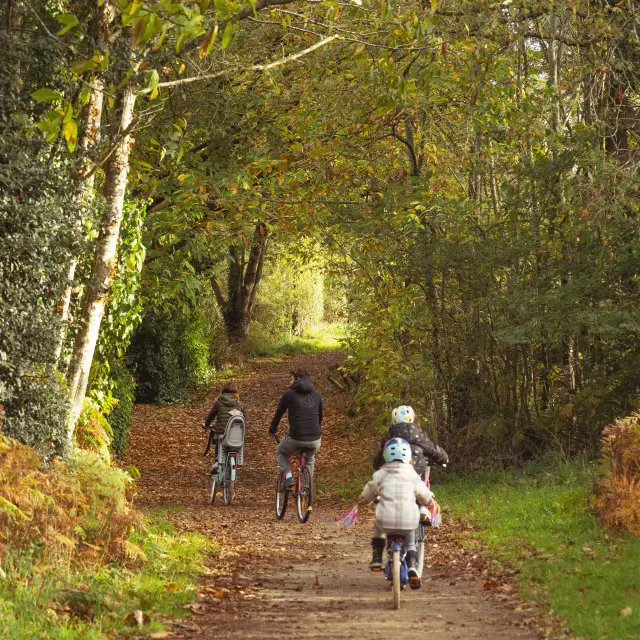 Sortie vélo vers Camoël et Férel en automne