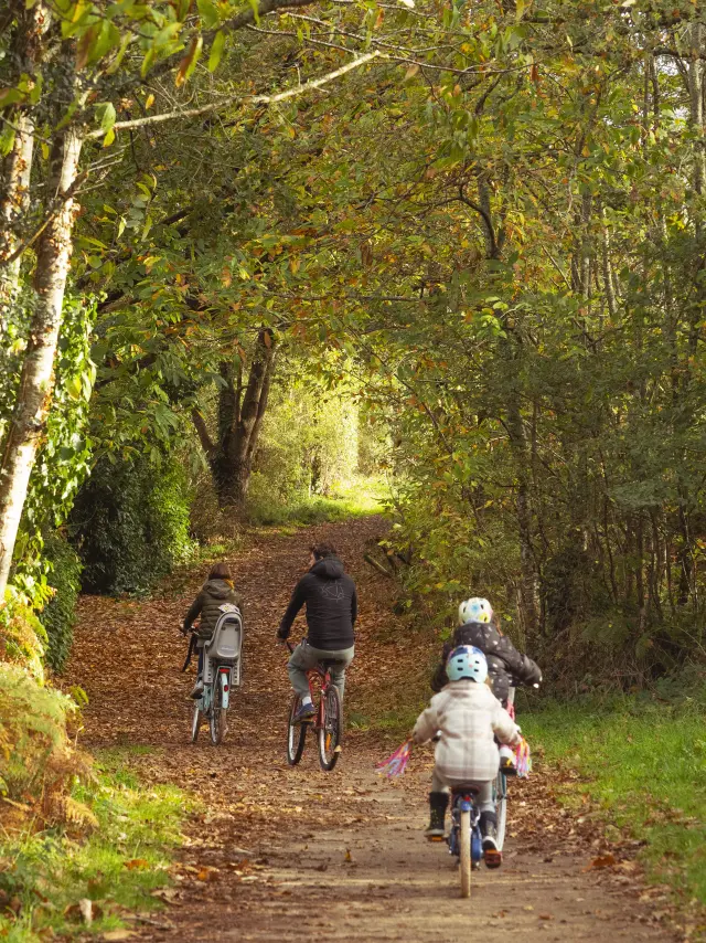 Sortie vélo vers Camoël et Férel en automne