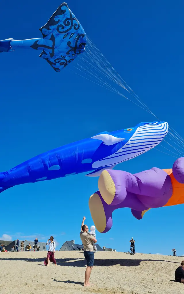 un papa et son bébé regarde les cerfs-volants du Festi'Vent à La Turballe