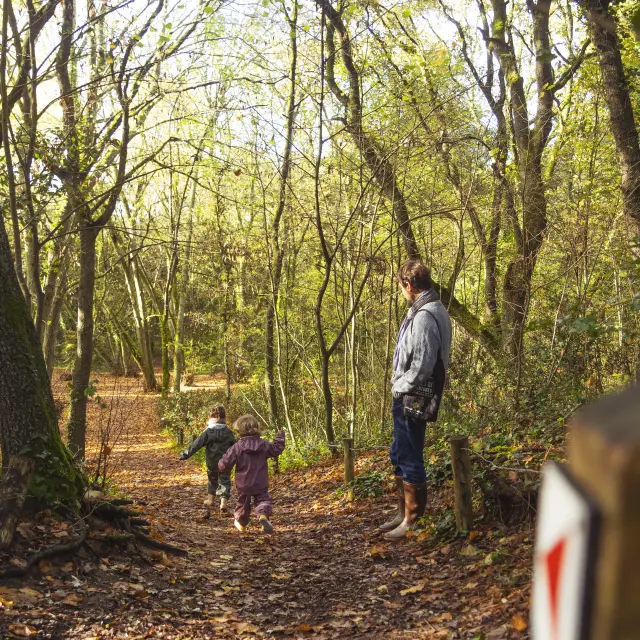 La Baule - Forêt d'Escoublac