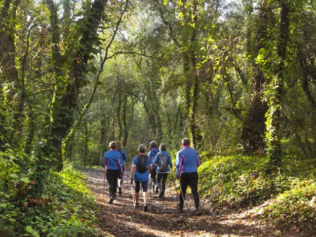 La Baule - Forêt d'Escoublac