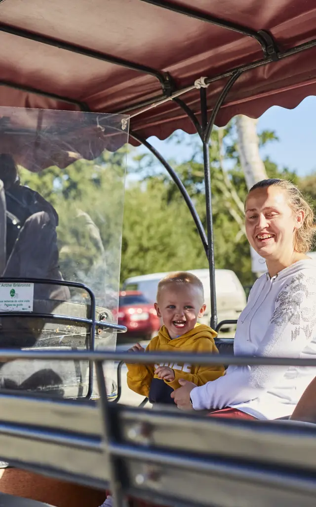 Saint-Lyphard - Brière - Balade en calèche