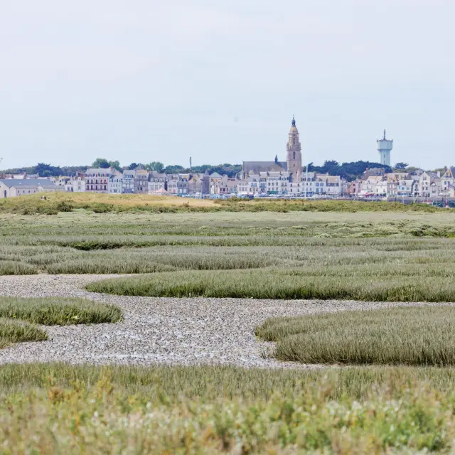 La Turballe - Pen Bron